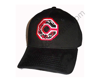 CAPS WITH LOGO
